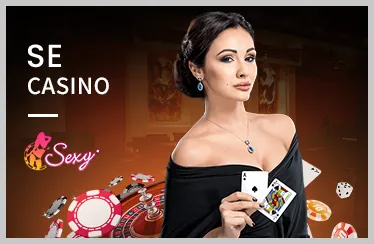Hỗ trợ VIP 24/7 s66 casino